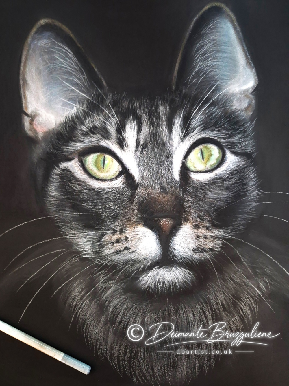 Emerald Gaze by Deimante Bruzguliene, Soft pastel on Pastelmat