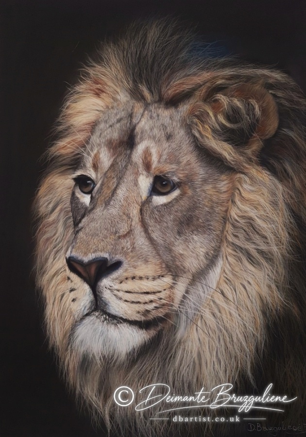 The King by Deimante Bruzguliene, Soft pastel on Pastelmat