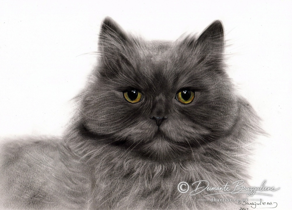 Cat, Oil on Paper by Deimante Bruzguliene