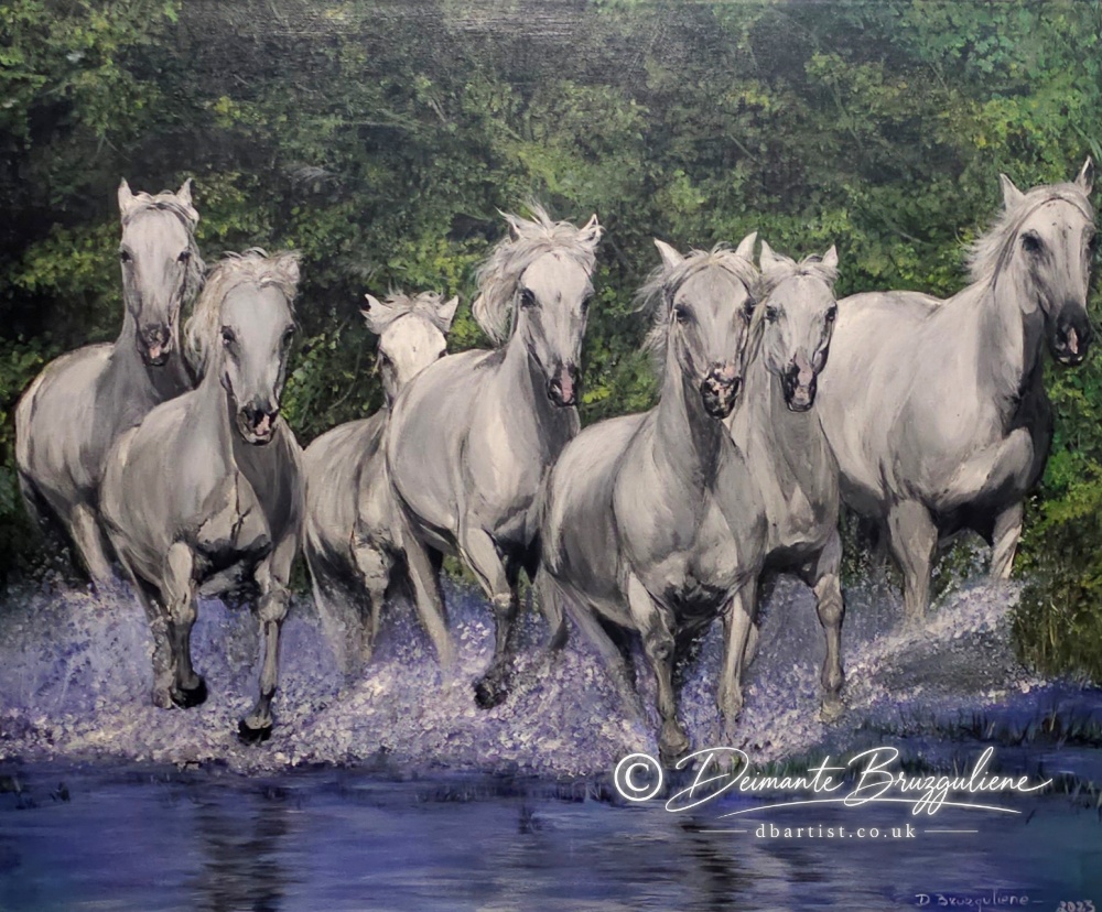 Freedom available original artwork by Deimante Bruzguliene