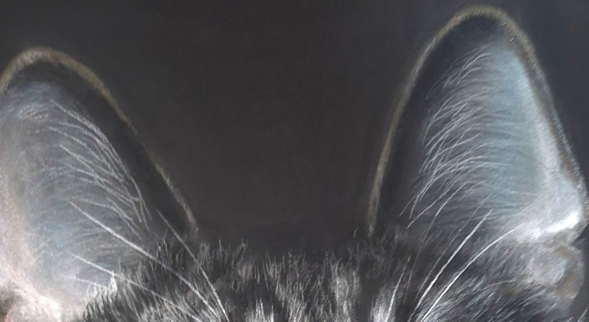 Detail 1 of Emerald Gaze by Deimante Bruzguliene