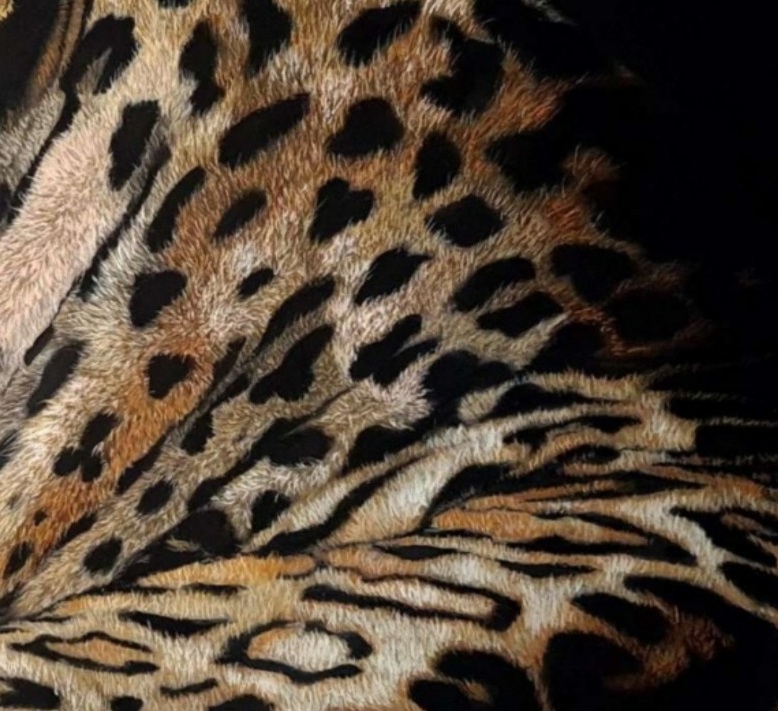 Detail 3 of Leopard by Deimante Bruzguliene