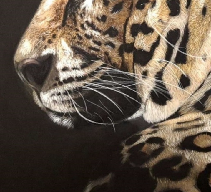 Detail 2 of Leopard by Deimante Bruzguliene