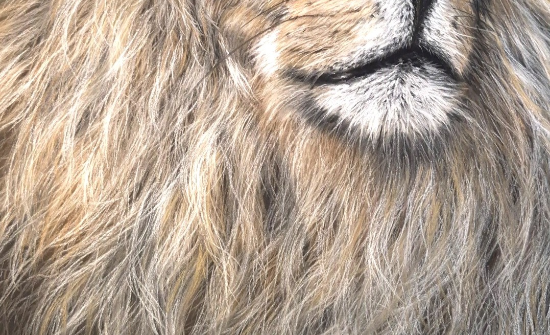 Detail 2 of Quiet Authority by Deimante Bruzguliene