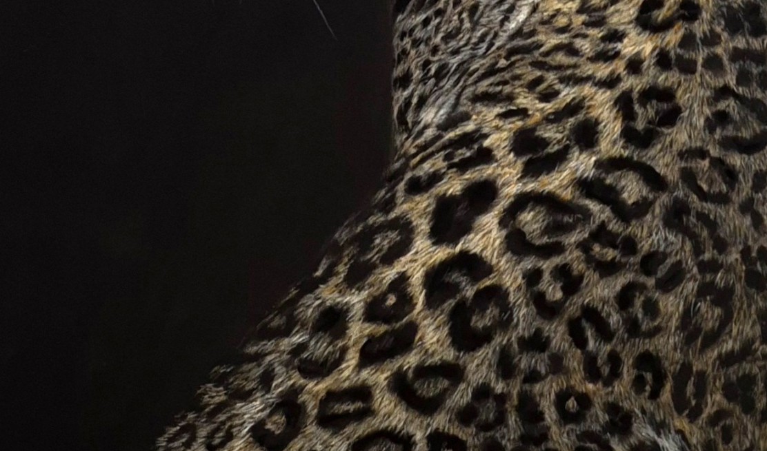 Detail 2 of Silent Majesty by Deimante Bruzguliene